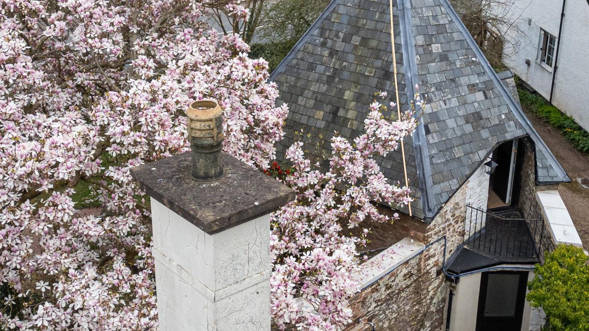 Fairy Cottage Lea المظهر الخارجي الصورة